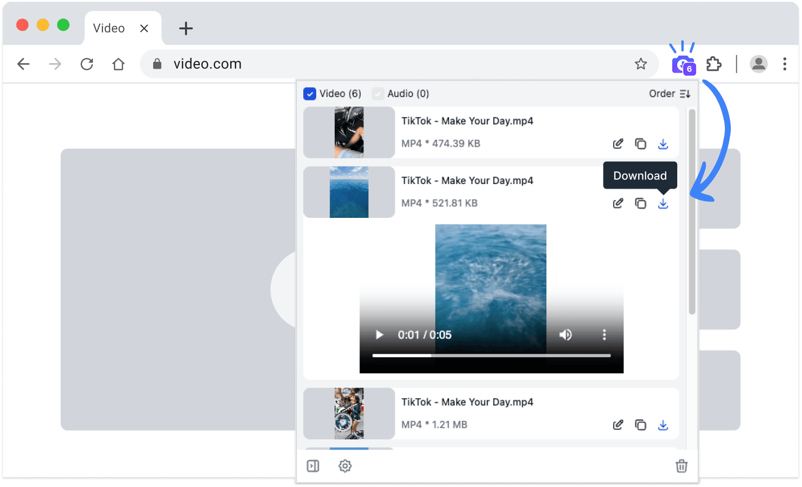 SnapAny Extension